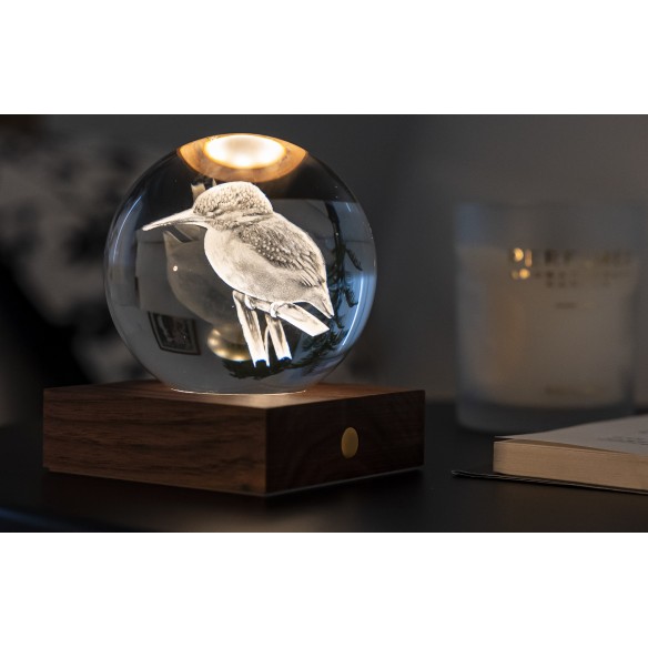 AMBER CRYSTAL LIGHT, 3D laser King Fisher