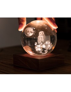 AMBER CRYSTAL LIGHT, 3D laser The Owl Moon