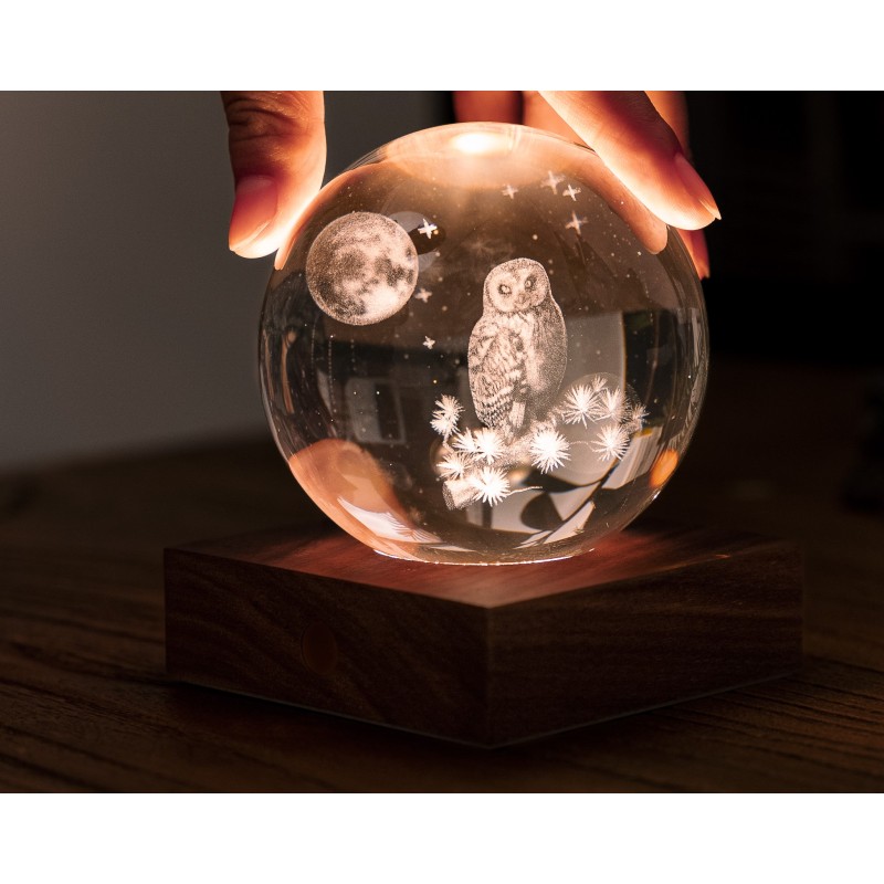 AMBER CRYSTAL LIGHT, 3D laser The Owl Moon
