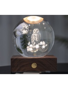 AMBER CRYSTAL LIGHT, 3D laser The Owl Moon 2