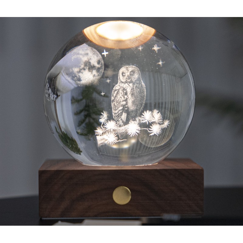 AMBER CRYSTAL LIGHT, 3D laser The Owl Moon