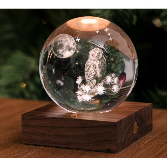 AMBER CRYSTAL LIGHT, 3D laser The Owl Moon