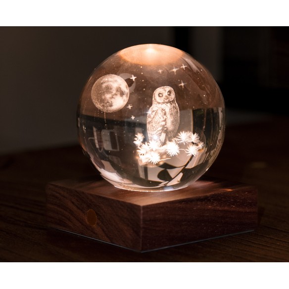 AMBER CRYSTAL LIGHT, 3D laser The Owl Moon