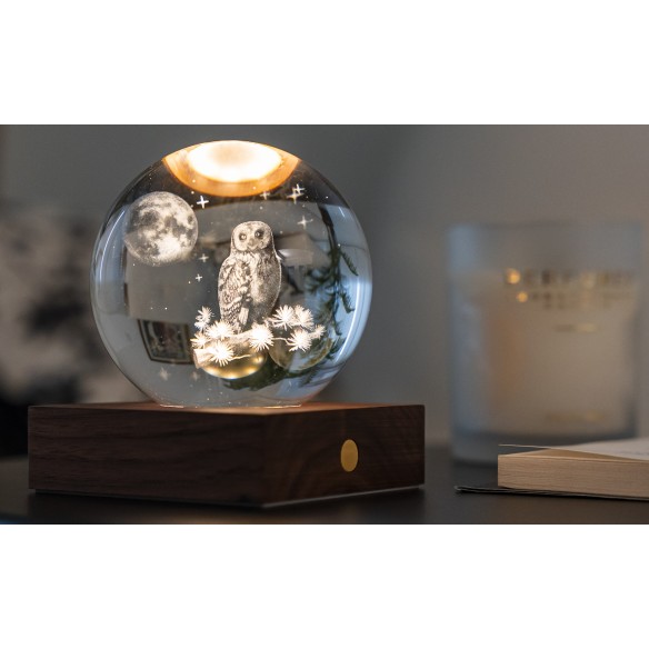 AMBER CRYSTAL LIGHT, 3D laser The Owl Moon
