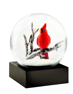 SNOWGLOBES, Cardinal Singing