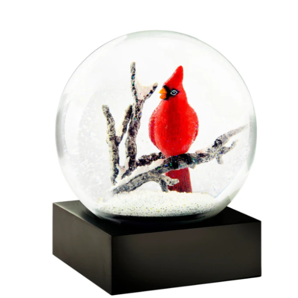 SNOWGLOBES, Cardinal Singing