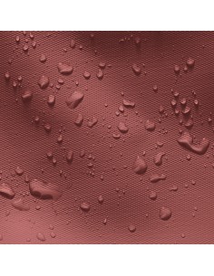 MELVIN MEDIUM ALOE, Hibiscus 2