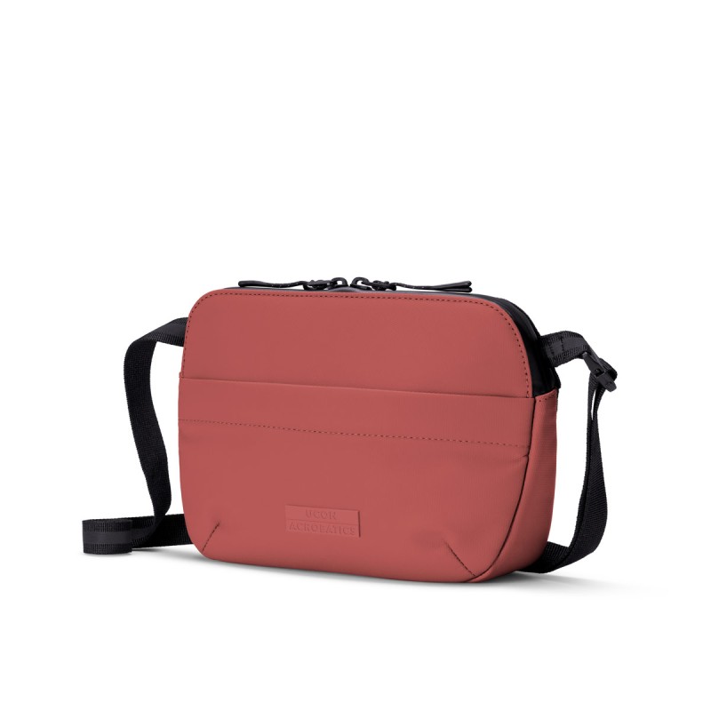 MELVIN MEDIUM ALOE, Hibiscus