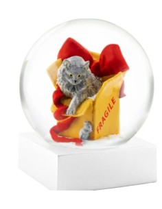 SNOWGLOBES, Cat on box