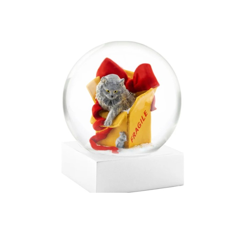 SNOWGLOBES, Cat on box