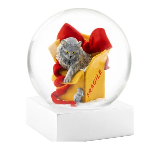 SNOWGLOBES, Cat on box