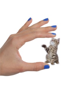 MUSTARD Action Cat Magnets