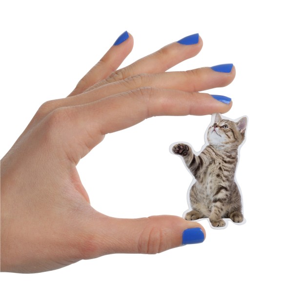 MUSTARD Action Cat Magnets