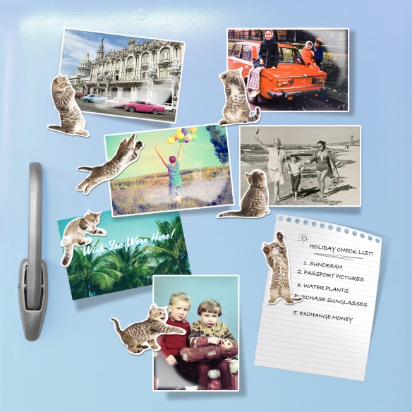 MUSTARD Action Cat Magnets