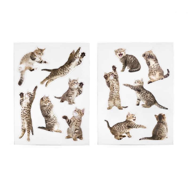 MUSTARD Action Cat Magnets