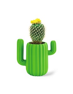 MUSTARD Cactus Desk Organiser