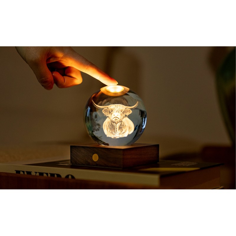 AMBER CRYSTAL LIGHT, 3D laser Highland Cow