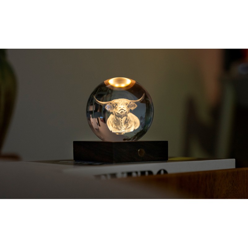 AMBER CRYSTAL LIGHT, 3D laser Highland Cow