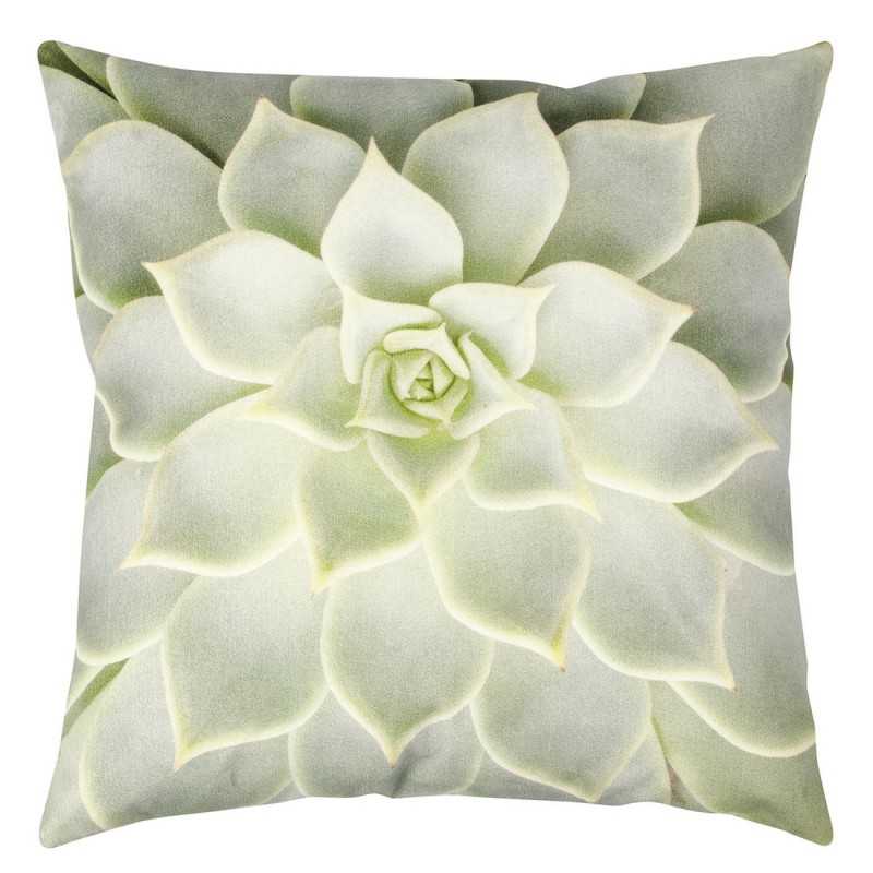 COPRICUSCINO SUCCULENT  45 x 45 Mint