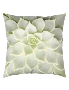 COPRICUSCINO SUCCULENT  45 x 45 Mint 2