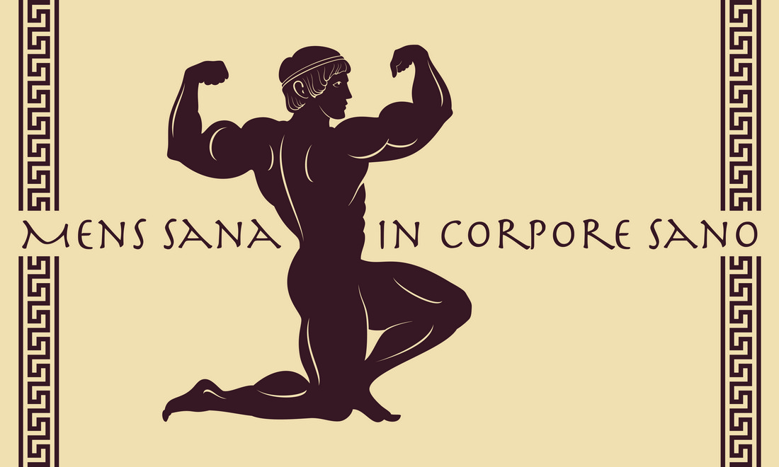 Zerbino Men Sana In Corpore Sano, Cocco