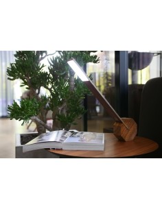 OCTAGON ONE RECHARGEABLE DESK LIGHT, Walnut