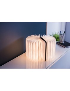 Lampada smart a libro, standard 