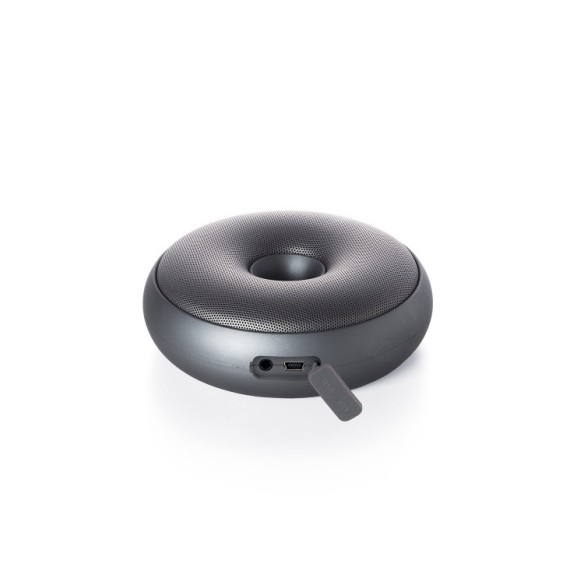 HOOP SPEAKER Metallic Grey